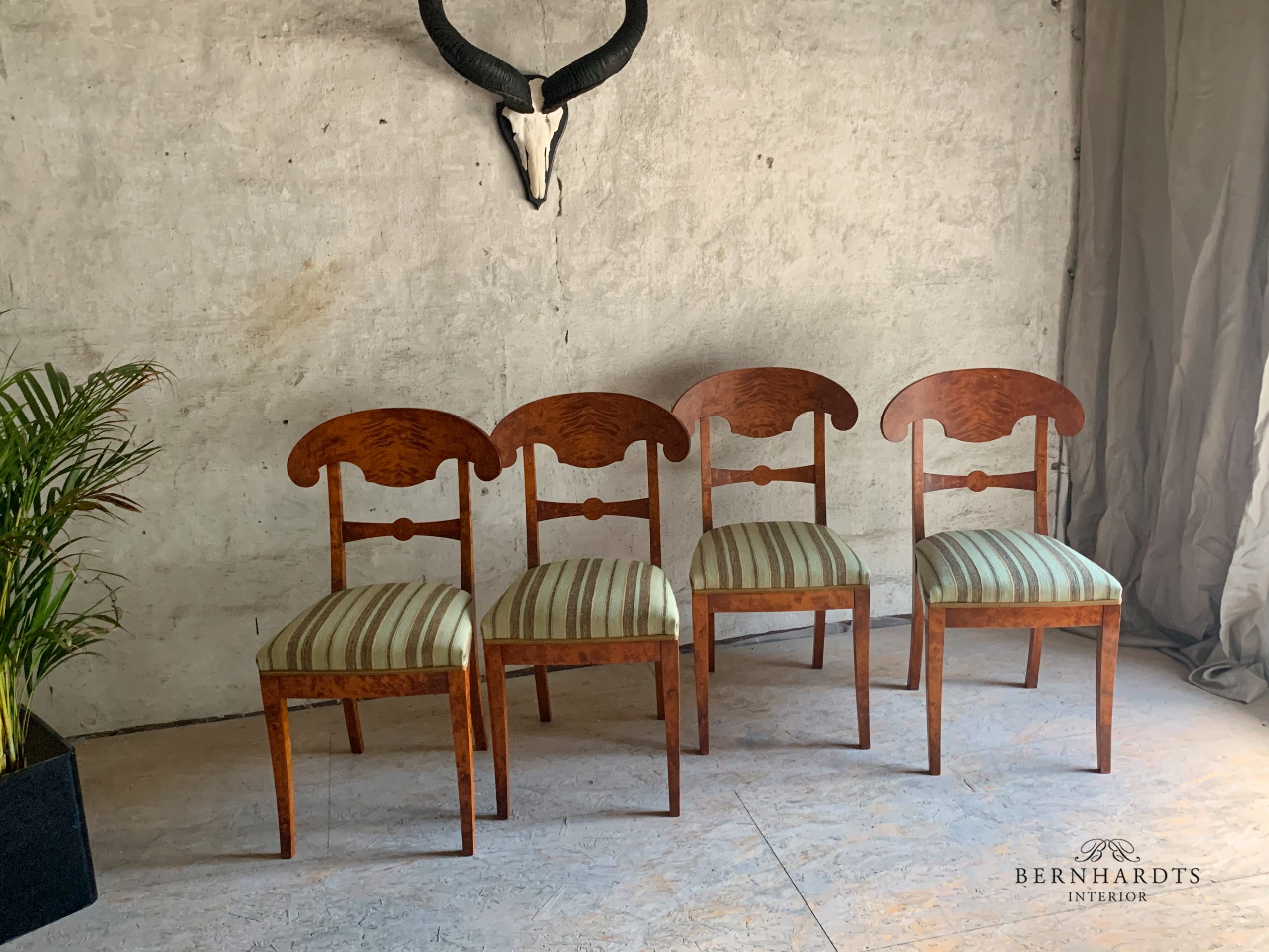 Biedermeier Schaufelstühle, Schweden 19Jhd. – Bild 6