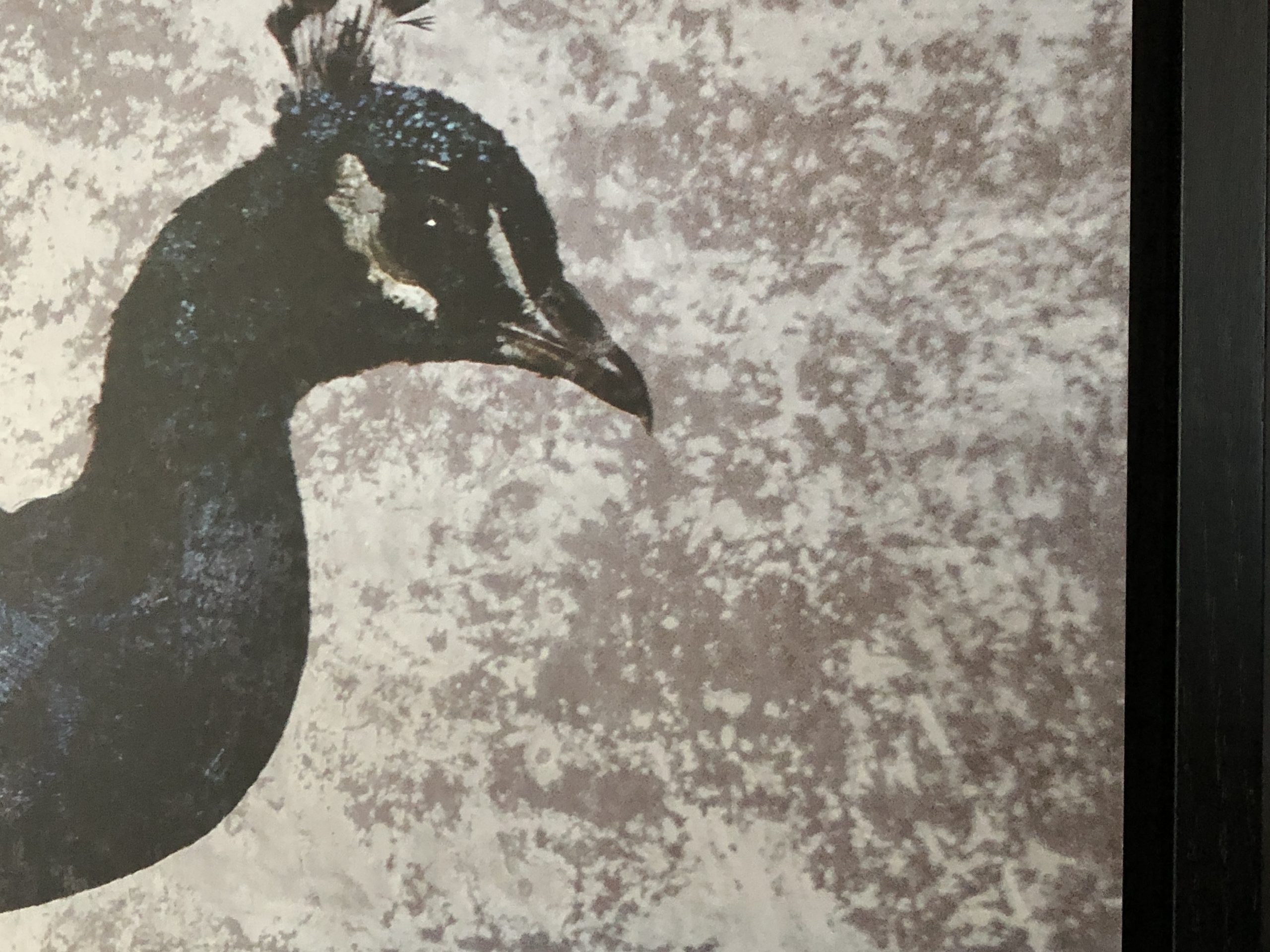 Kunst, Bernhardts Interior, Bildkunst