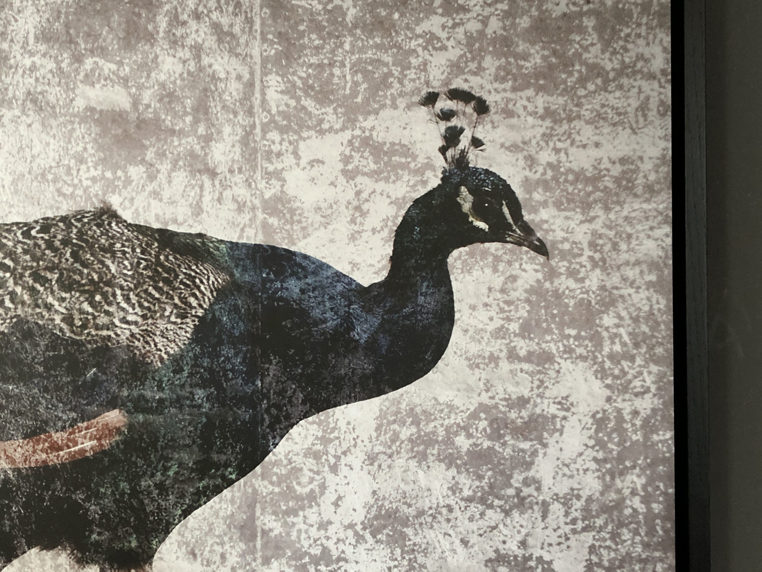 Kunst, Bernhardts Interior, Bildkunst