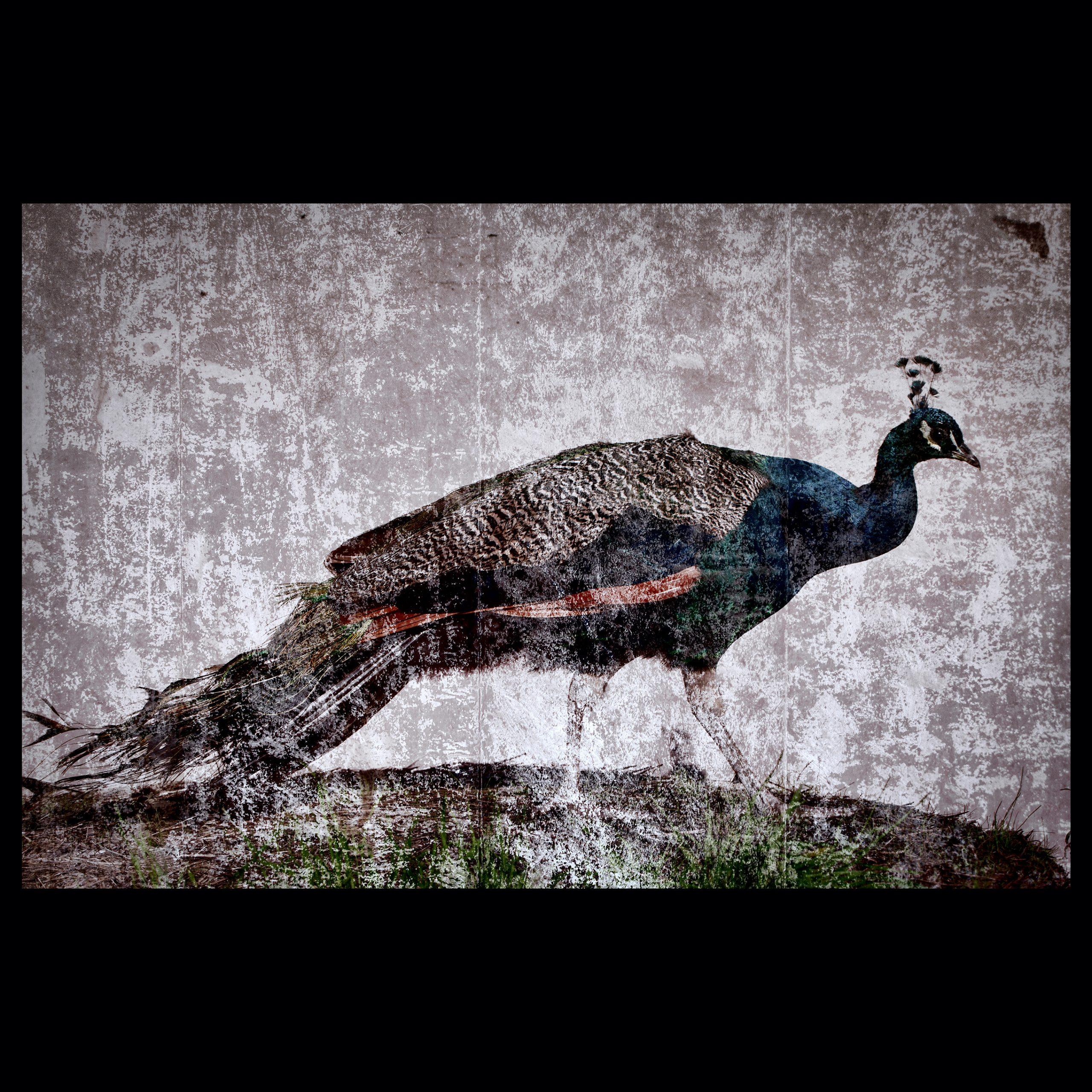 Peacock Bernhardts Interior