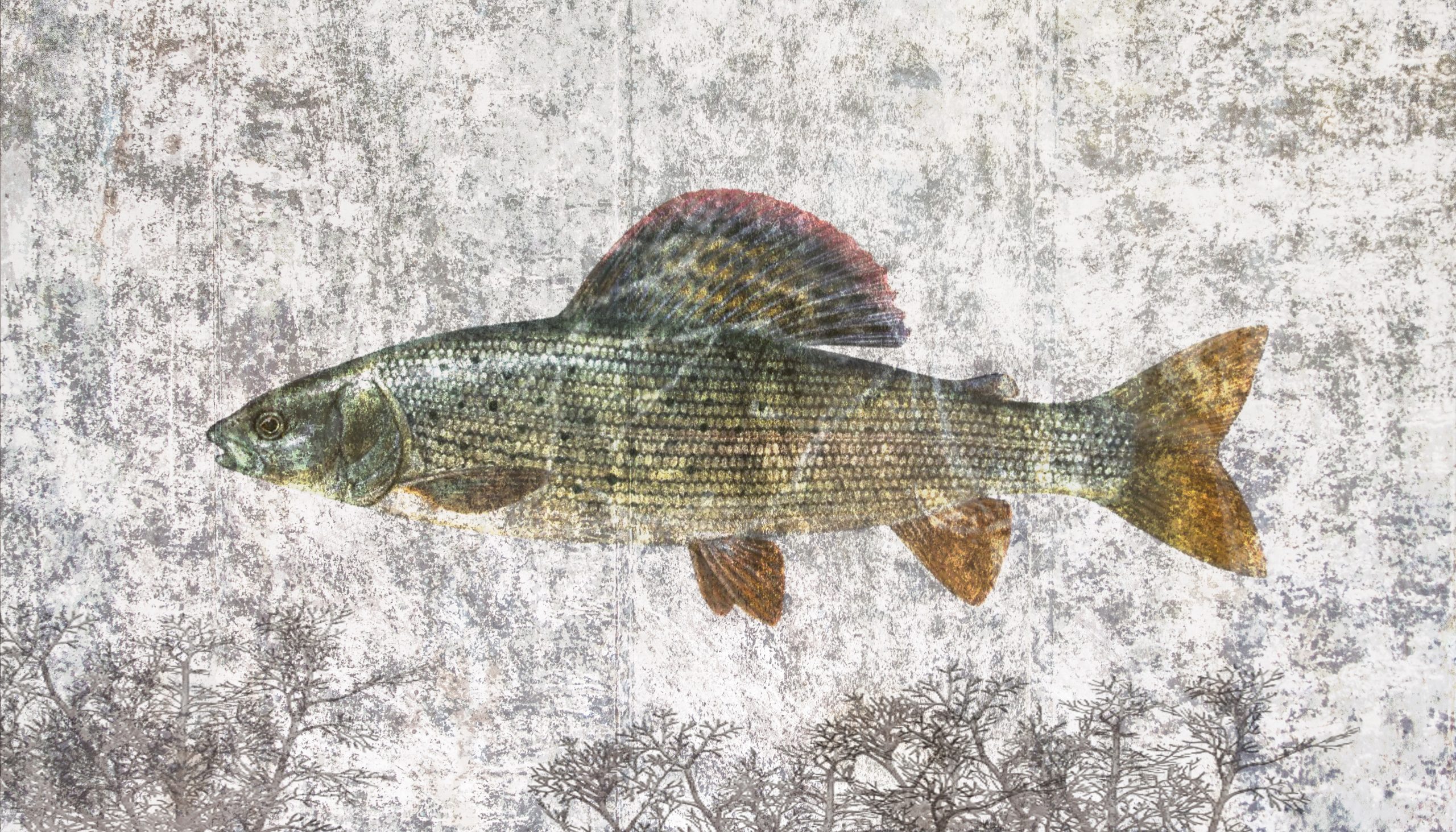 Äsche_ bernhardts Interior