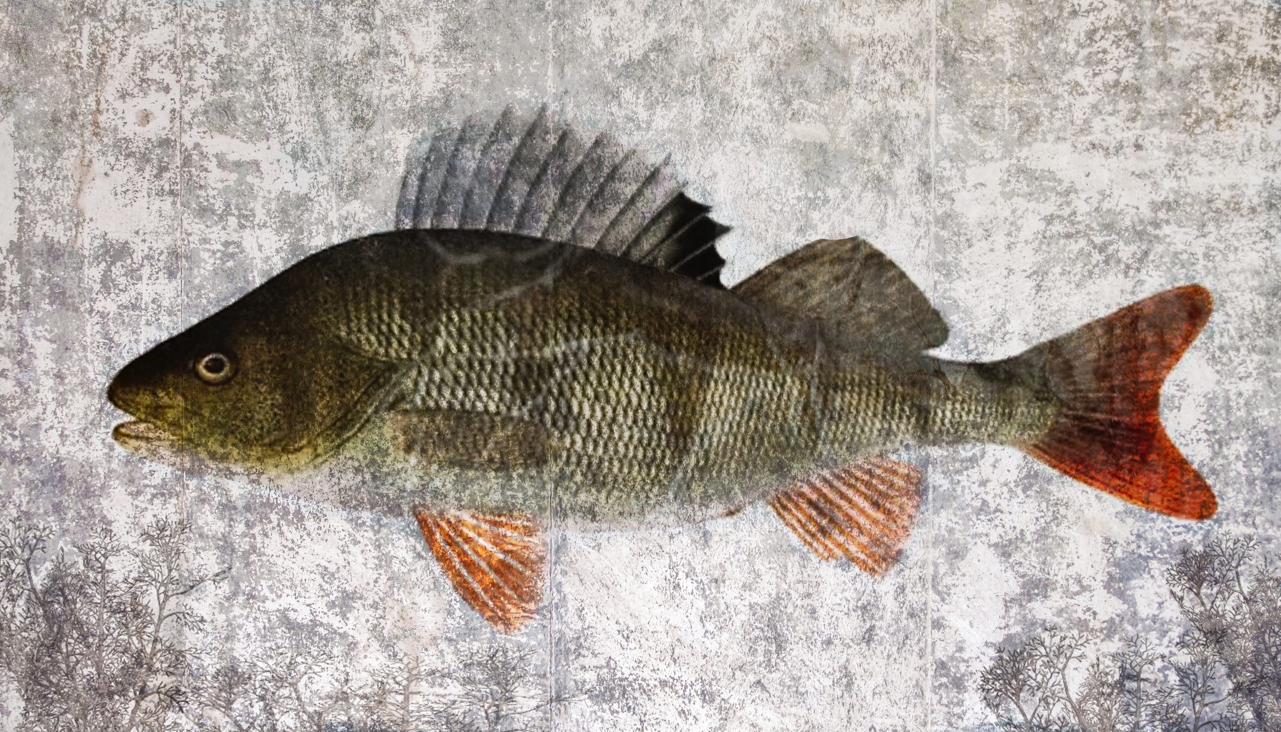 Barsch, Print, Fisch_ Bernhardts Interior