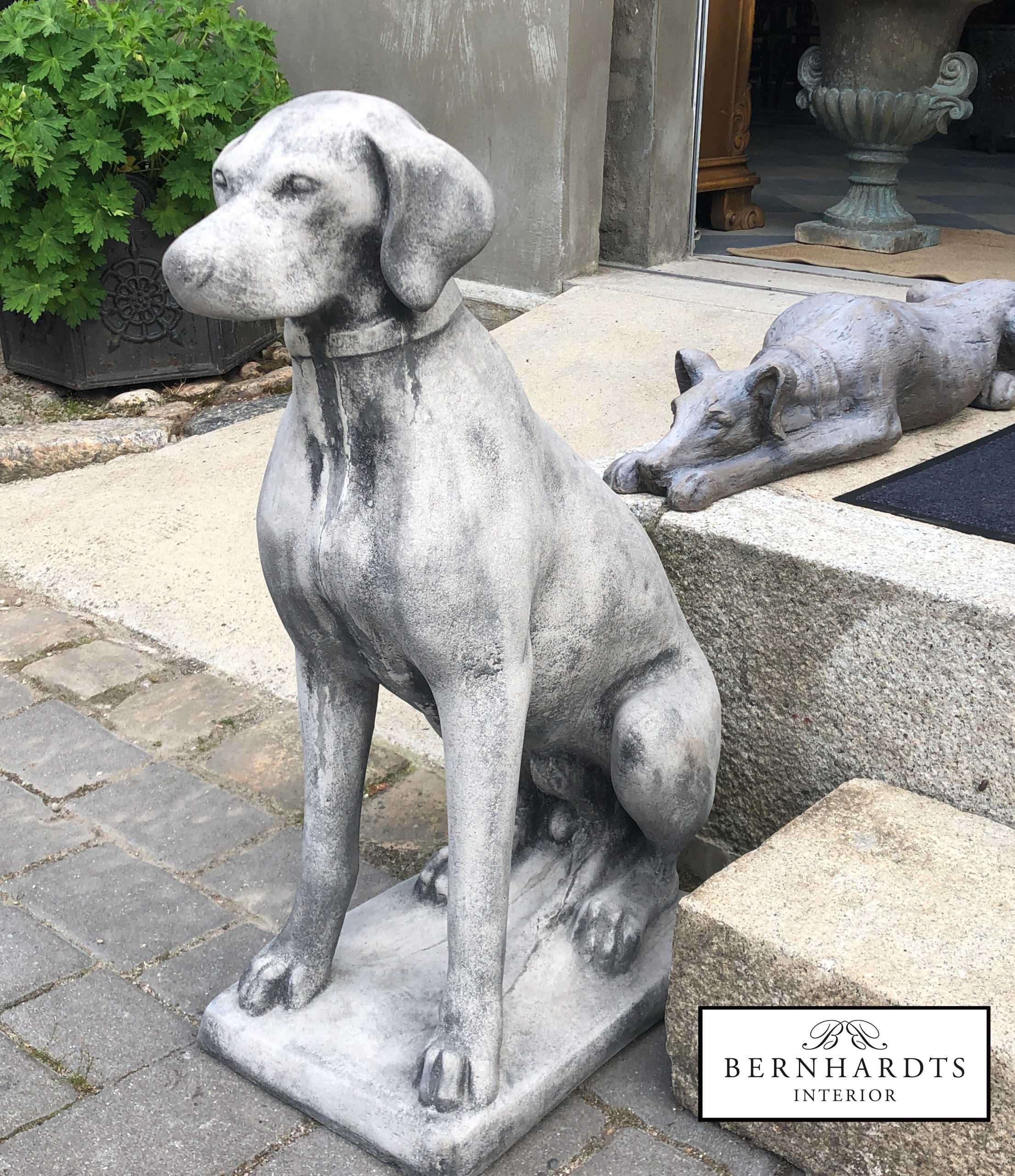 Jagtdhund Steinguss