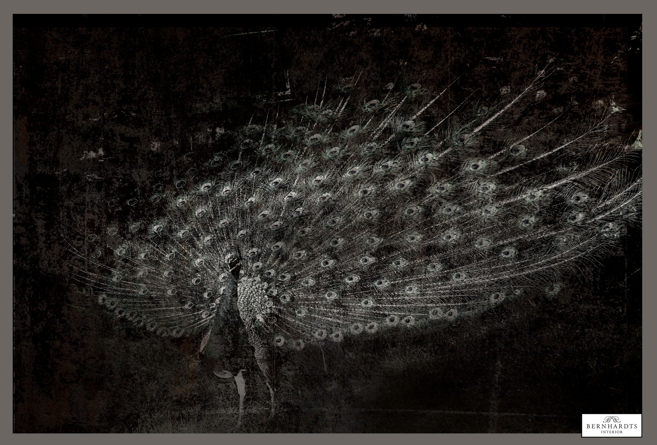 Digitale Kunst _ Pfau Fresco