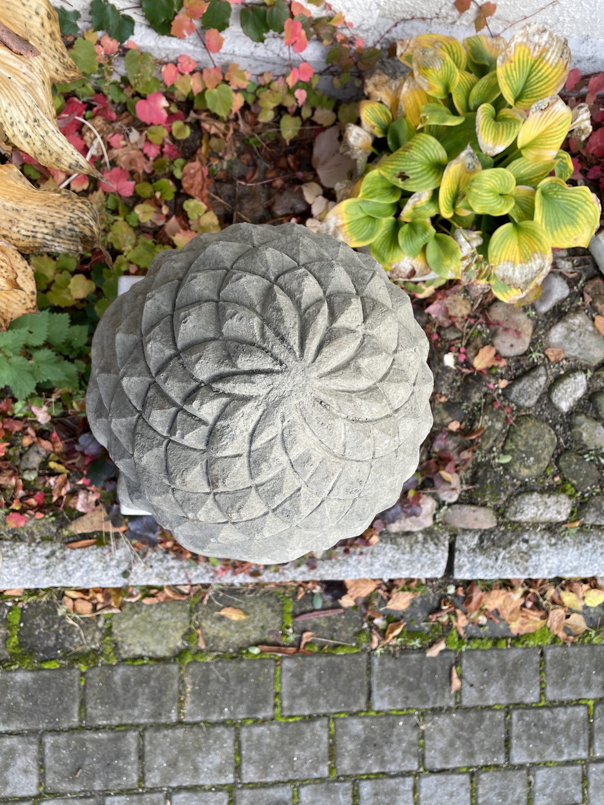 Pinienzapfen Bernhardts Interior