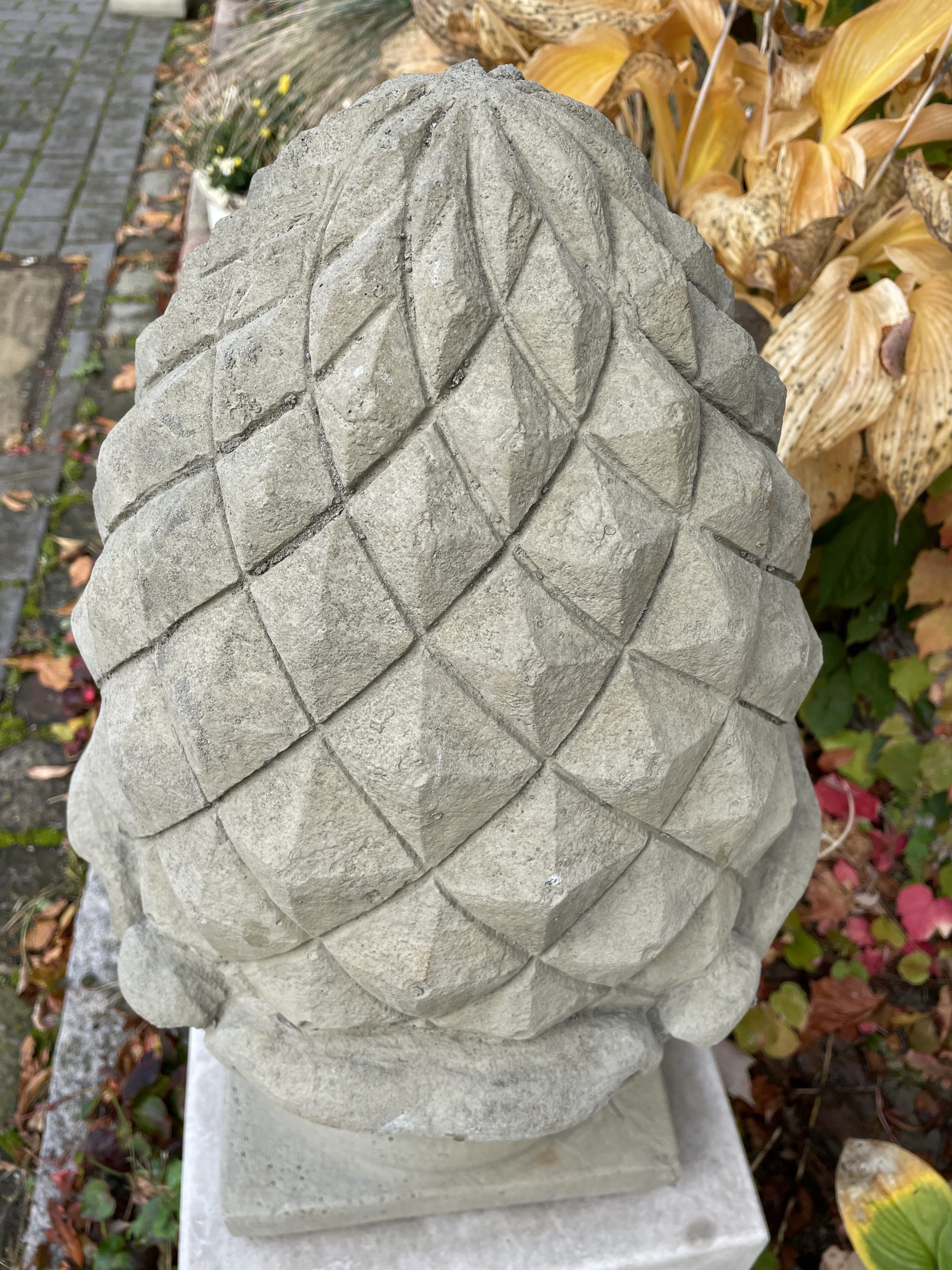 Pinienzapfen Bernhardts Interior