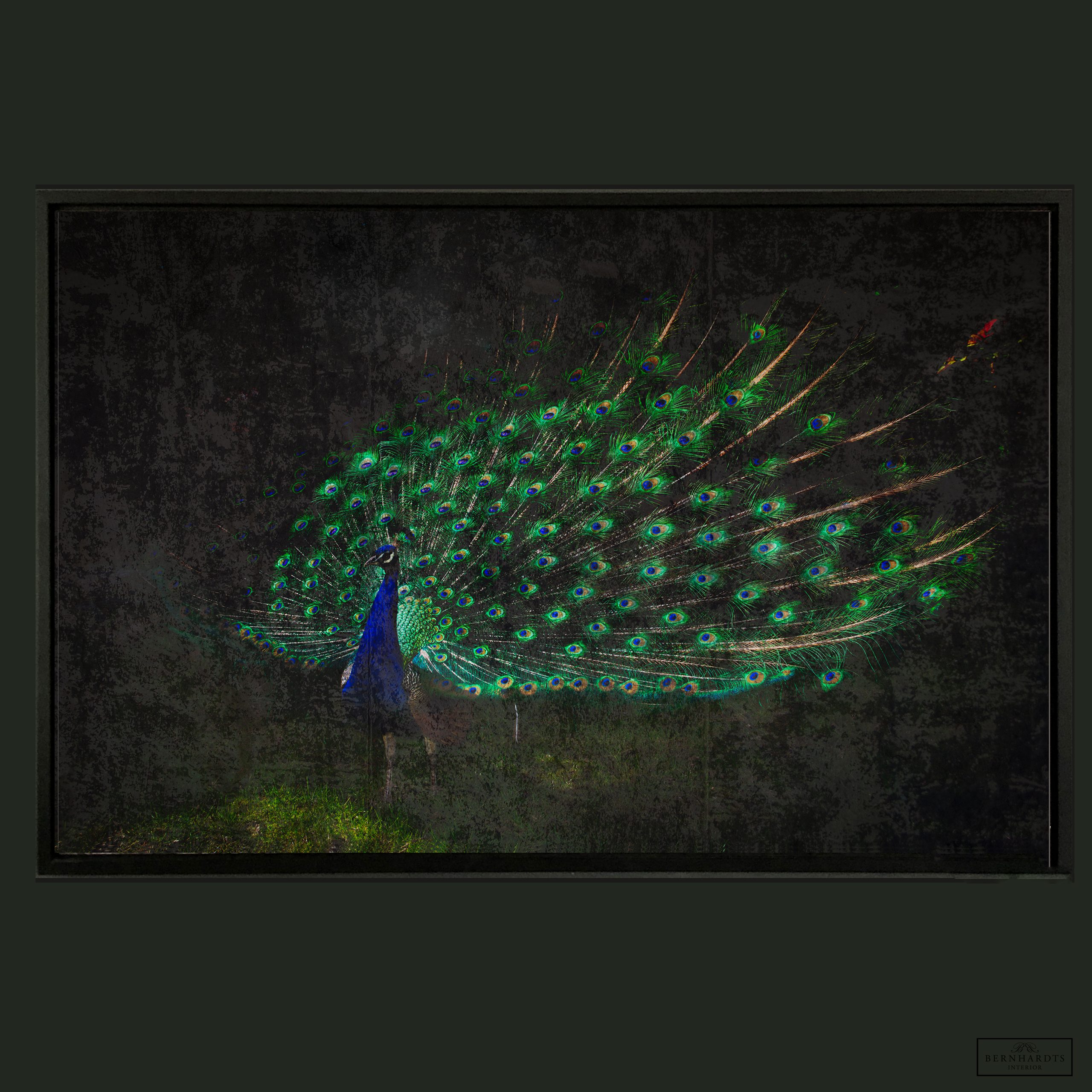 Peacock_ Bernhardts Interior