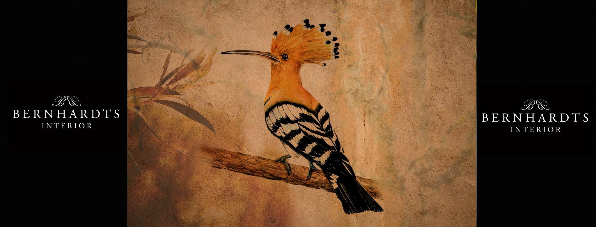 Wiedehopf Mallorca_ Bernhardts Interior