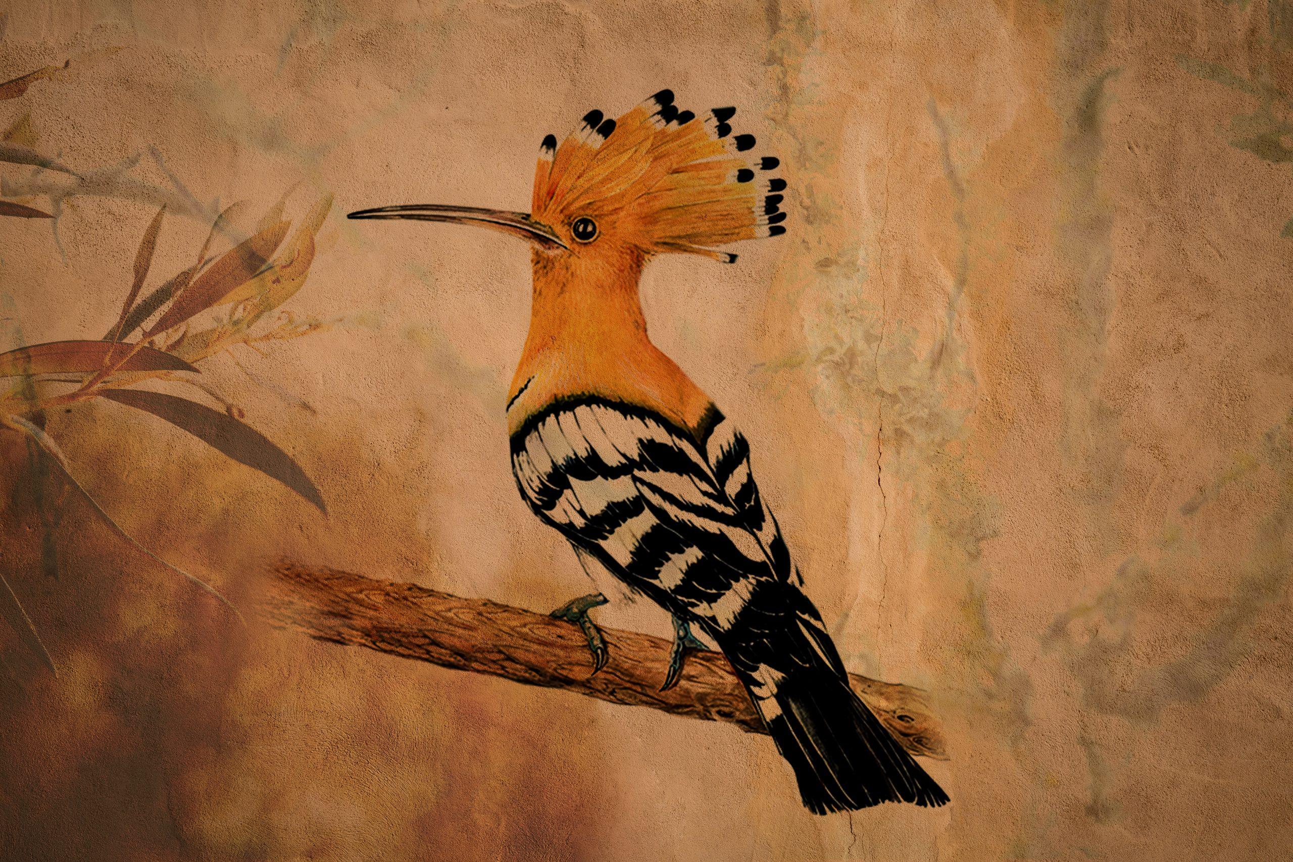 Wiedehopf,Fotokunst Isabell von Ohlshausen_ Bernhardts Interior